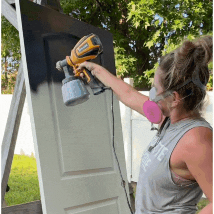 Paint Sprayer